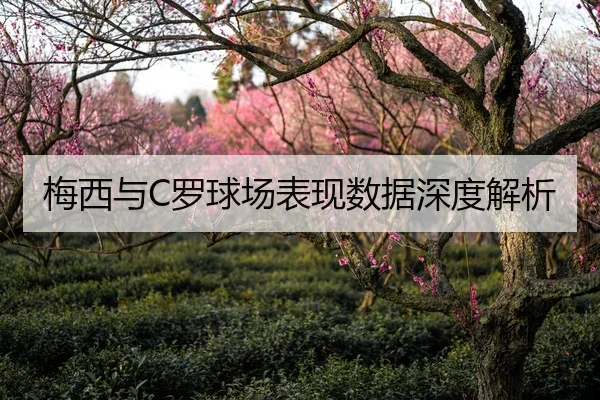 梅西与C罗球场表现数据深度解析